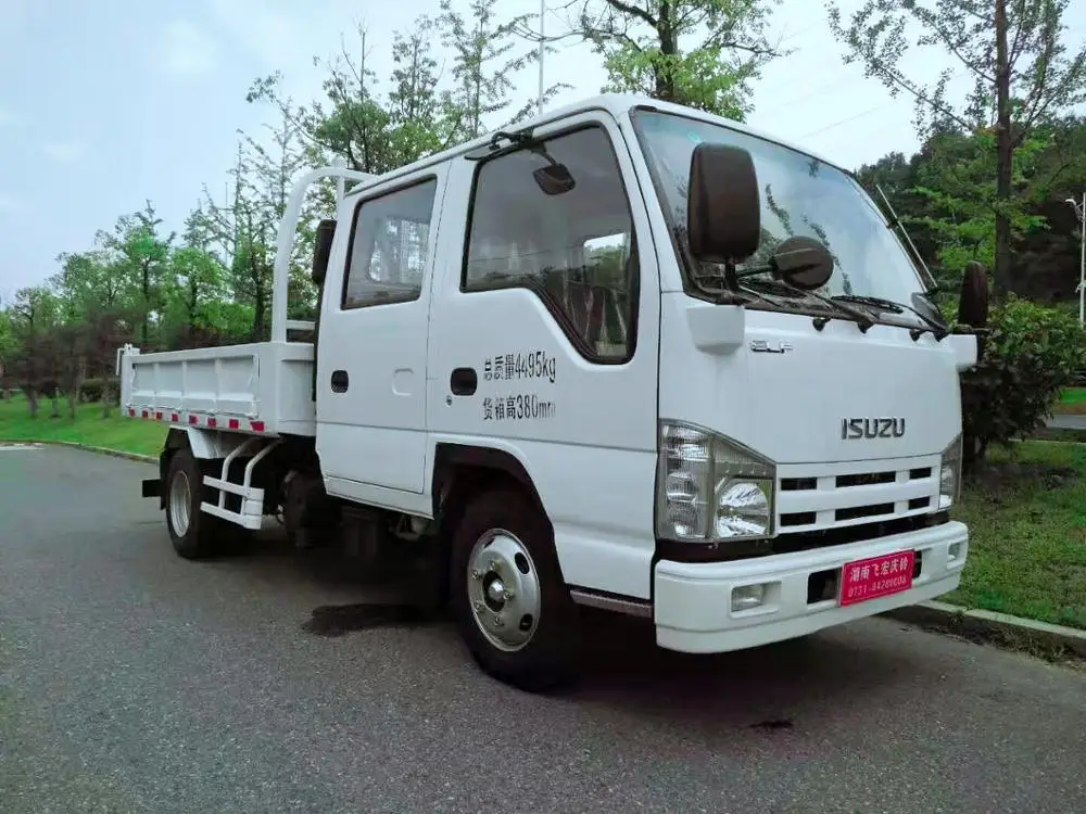 Лидер продаж хорошее качество самосвал isuzu 100p/NKR с самосвалом 3 тонны для экспорта
