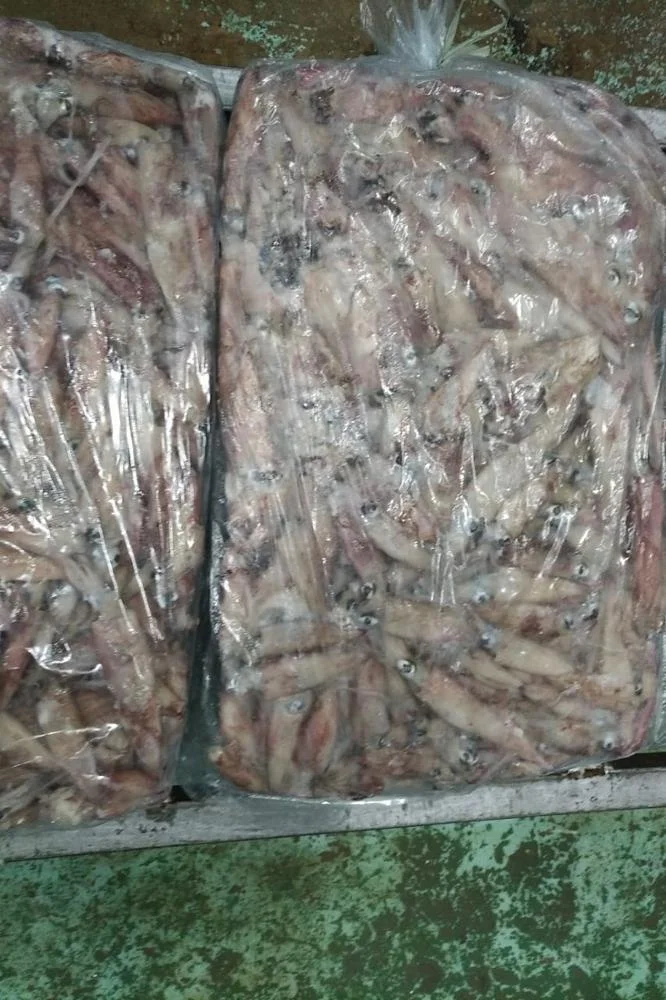 Good Sale Frozen Needle Squid
