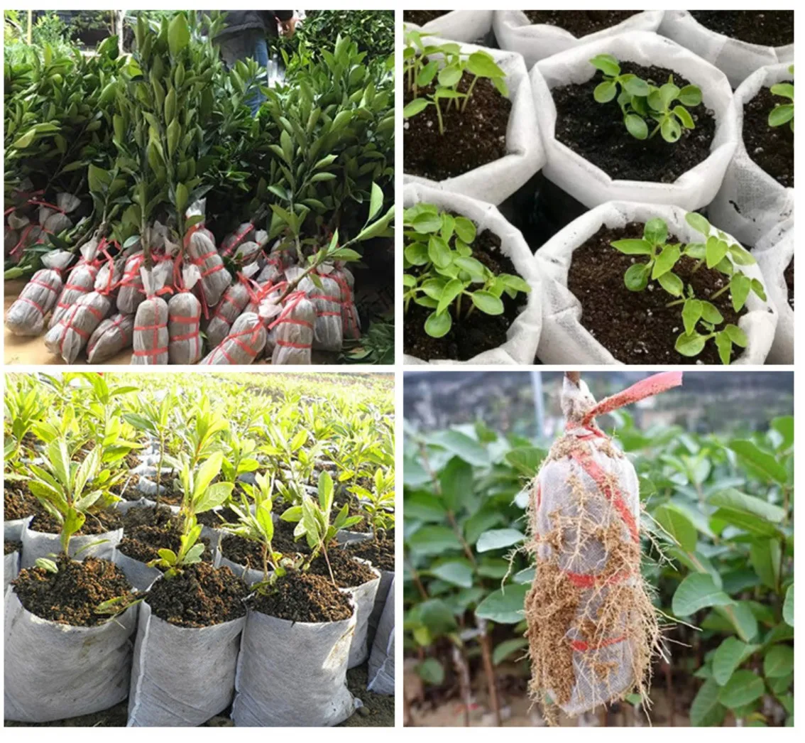 Biodegradable Breathable High Survival Planting Tree Non woven Fabrics Seedling Bag Growing Plant Pot White Nursery Bag