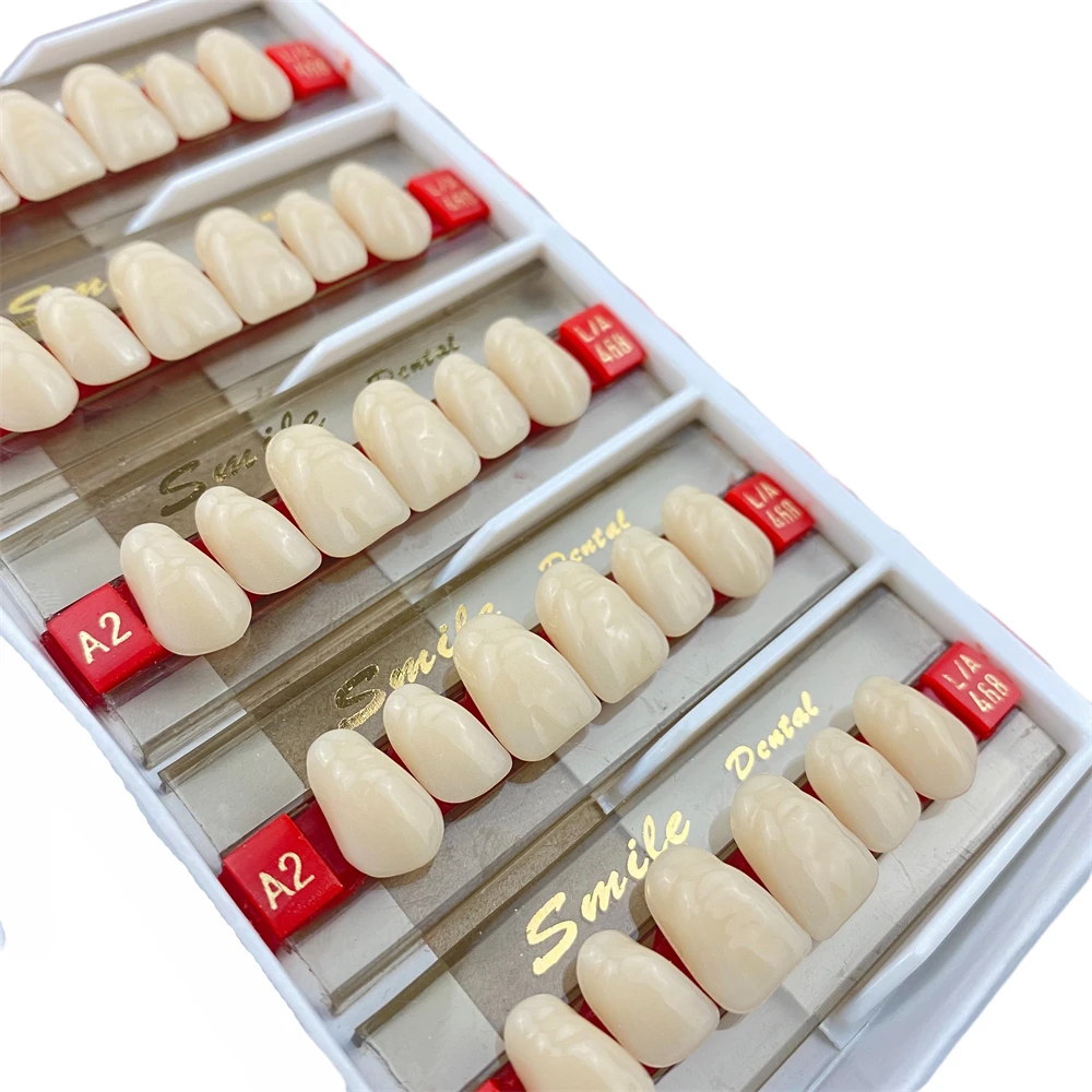 2-lay Synthetic Denture Teeth False Teeth Anterior Dental Acrylic Resin Teeth