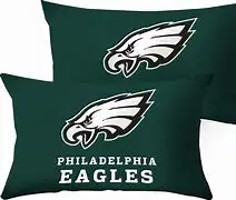 New football Super Bowl team logo high quality PHILADELPHIA EAGLES pillow cover American football football logo pillow fan gift