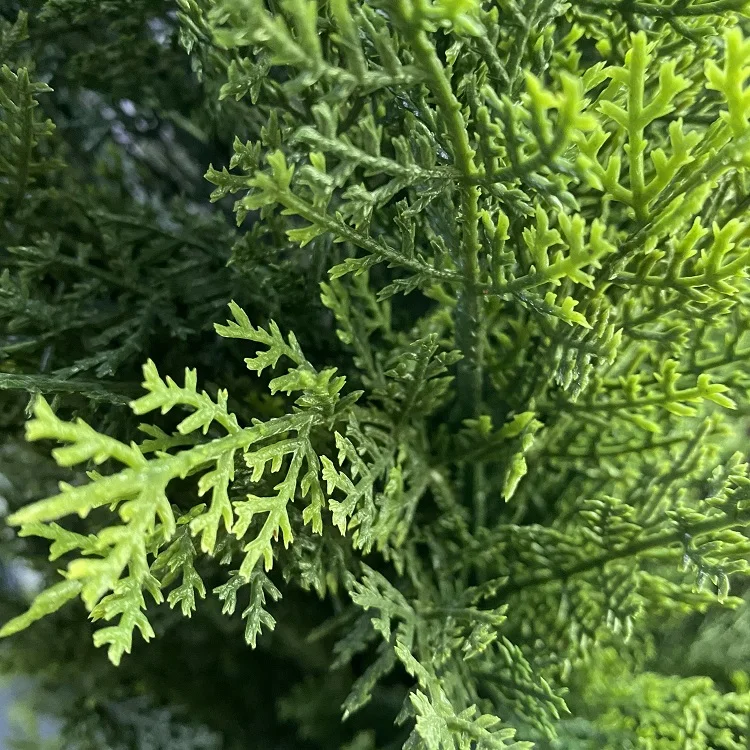 High quality decoration topiary plants artificial bonsai/artificial cypress tree