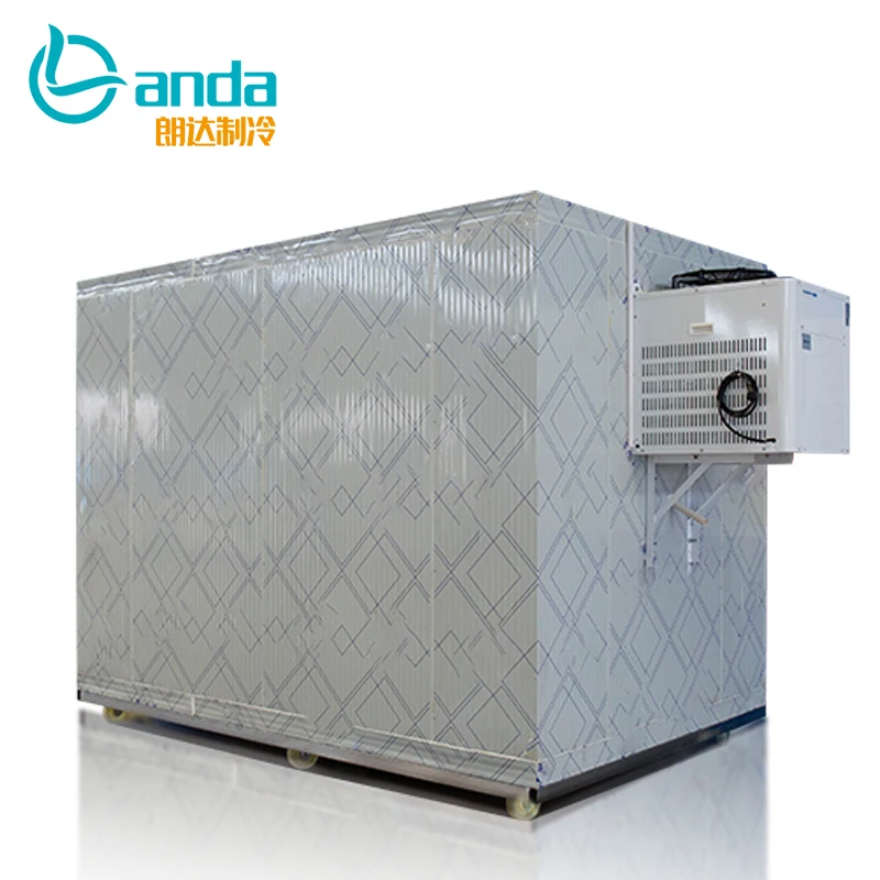 Blast Freezer Equipment Cold Store For Fruit And Vegetables Cool Storage Room Modular Cooler room