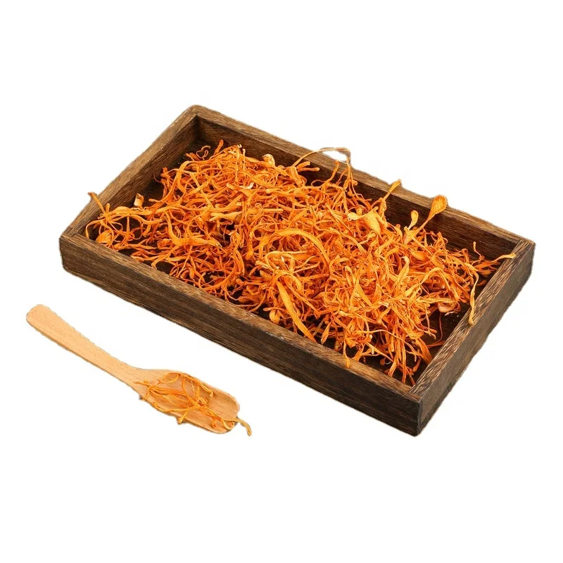 High Quality cordyceps militaris Fruiting Boby Dried Cordyceps Militaris Flowers