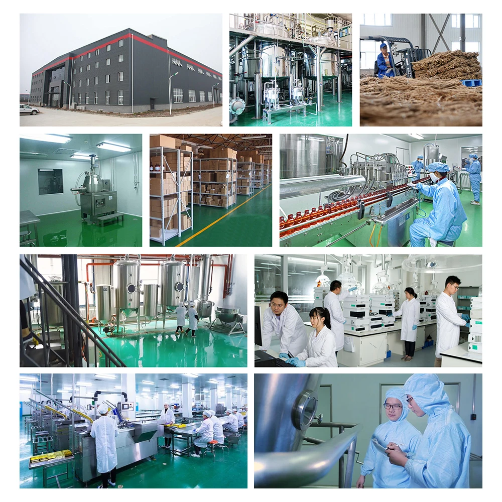 SUNI Factory Direct Vitamin B12 1000mcg Coated Tablets Dietary Supplement Vitamin B Complex Vitamin B12 Tablets Health Product