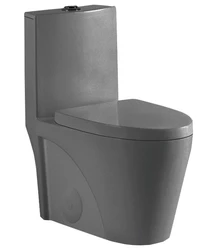 UPC Modern One Piece Design Sanitary Ware Ceramic Dual Flush  White or Black Toilet