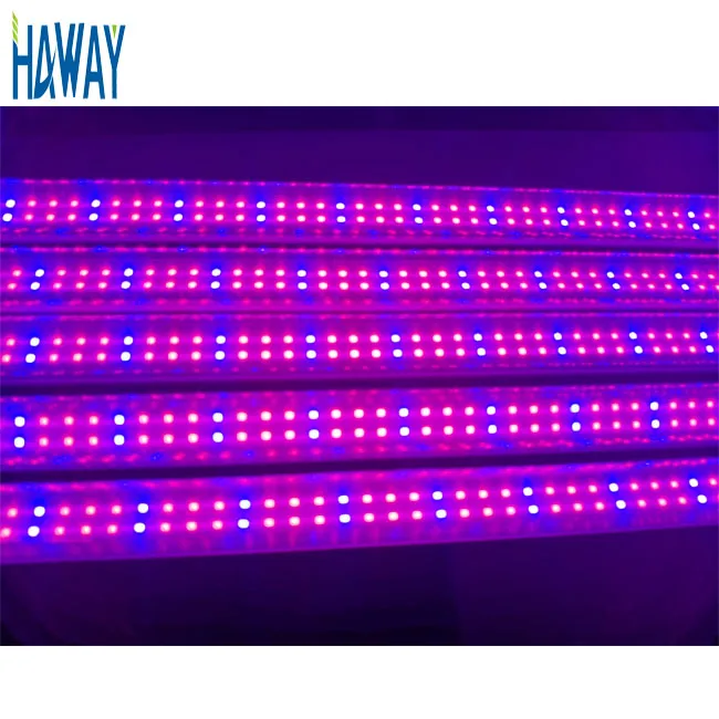 Full Spectrum Red Blue 20w T8 LED Tube Indoor Grow Light System For Hydroponics Plant Grow LED