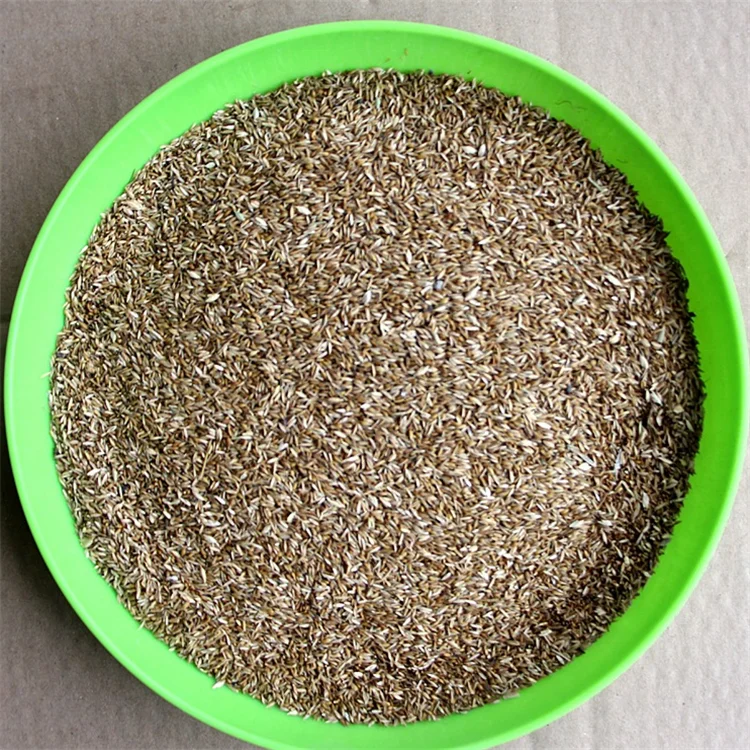  Семена китайской зоизии семена лужайки Zoysia japonica Steud для
