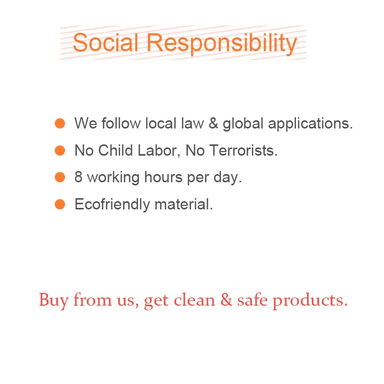 Premium 2 Liter Hand Pressure Pump Sprayer for Various Liquid Applications