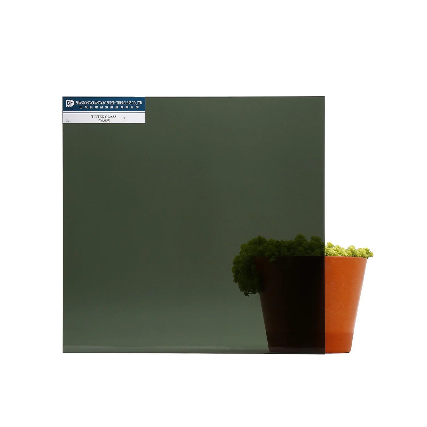 2MM-19MM Clear/Tinted Float Glass for Construction Window Door Glass