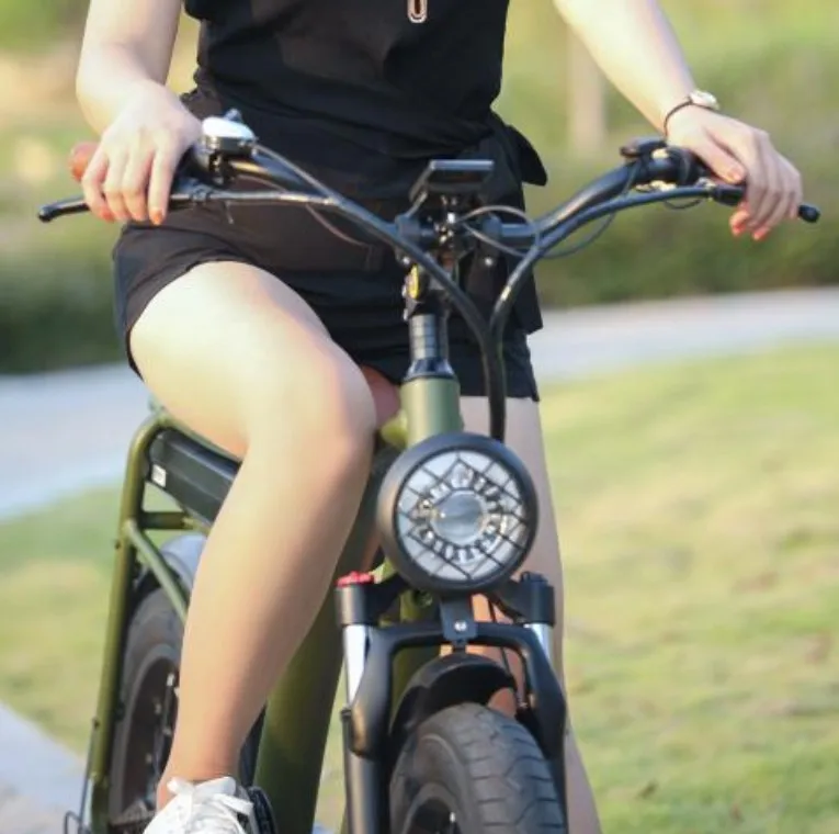 2023 low price cheap off-road new design Vintage fat tire hub 500w motor 20 inch wheels e bicycles electric bikes for adults