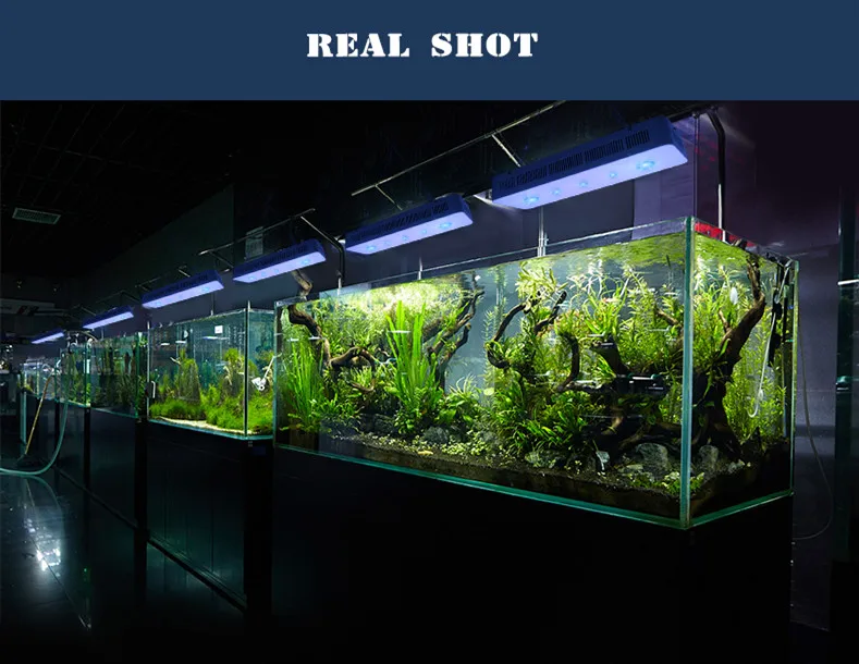 
Popular WiFi APP Knob control coral reef fish tank aquarium led lights 