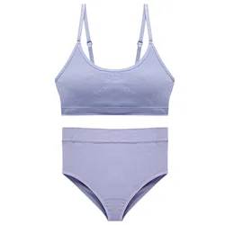 US2302 Dropshipping Bralette A B Small Cup Women Seamless Sets Push Up Sexy Bra And Panties