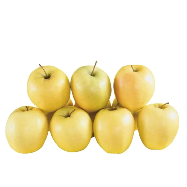 Wholesale Price Tasty Ecouteur Apple for Fresh Fruits Apples