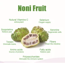 Hainan Factory Direct Supply 100% Natural Pure Organic Noni Juice to USA, Japan, Tahitian, Thailand