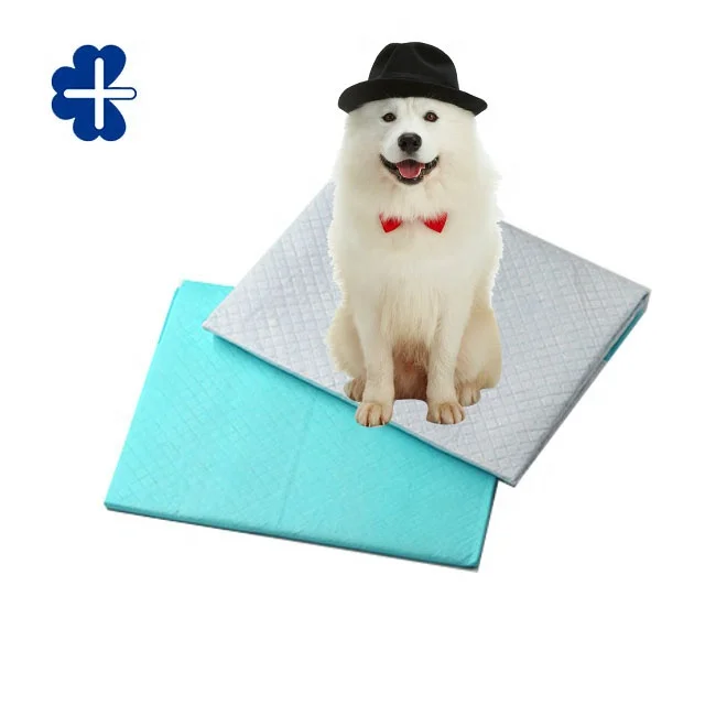 Disposable Portable Super Absorbent Cat Dog Extra Large Pet Training and Puppy Hygienic Diaper Mat Pee Pads