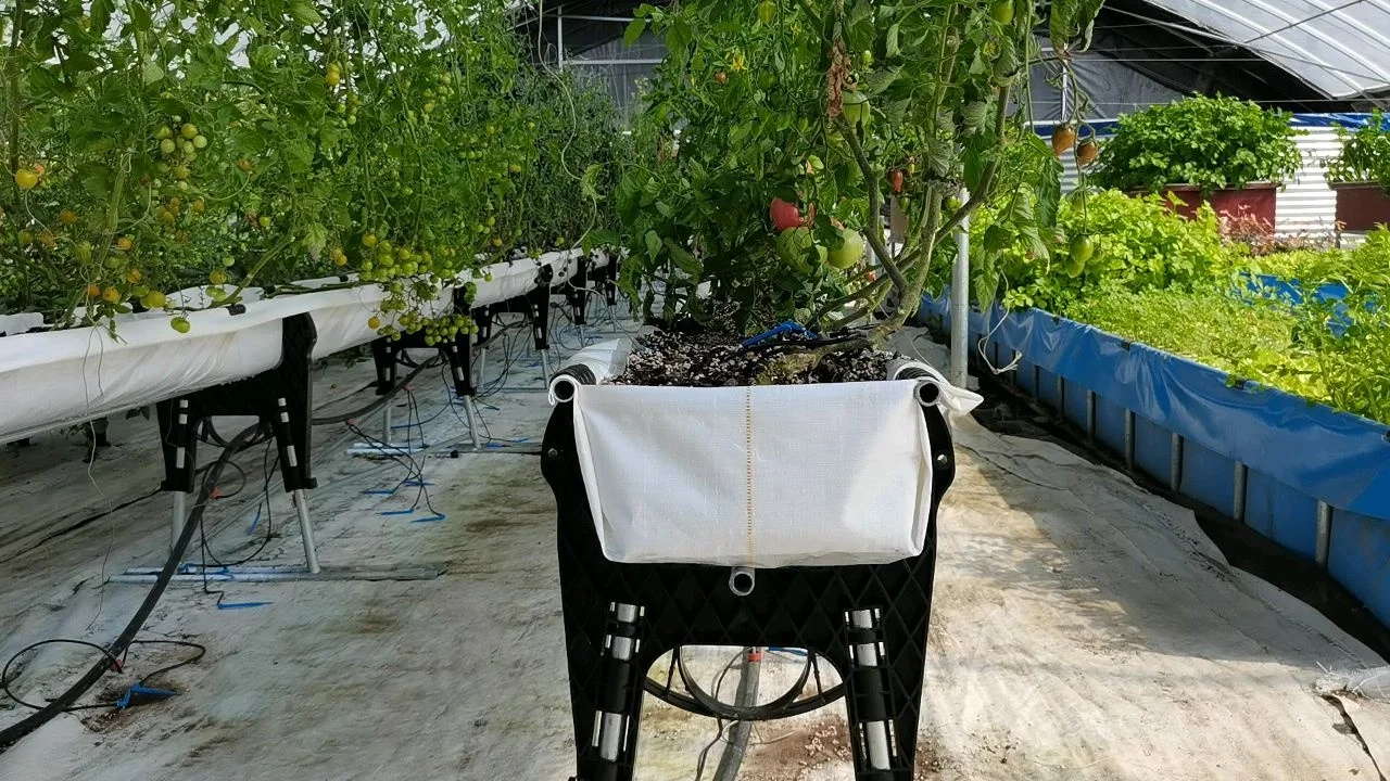 Drip Irrigation Planting Greenhouse Substrate Soilless Cultivation Balcony Planting  With Tomato Strawberry