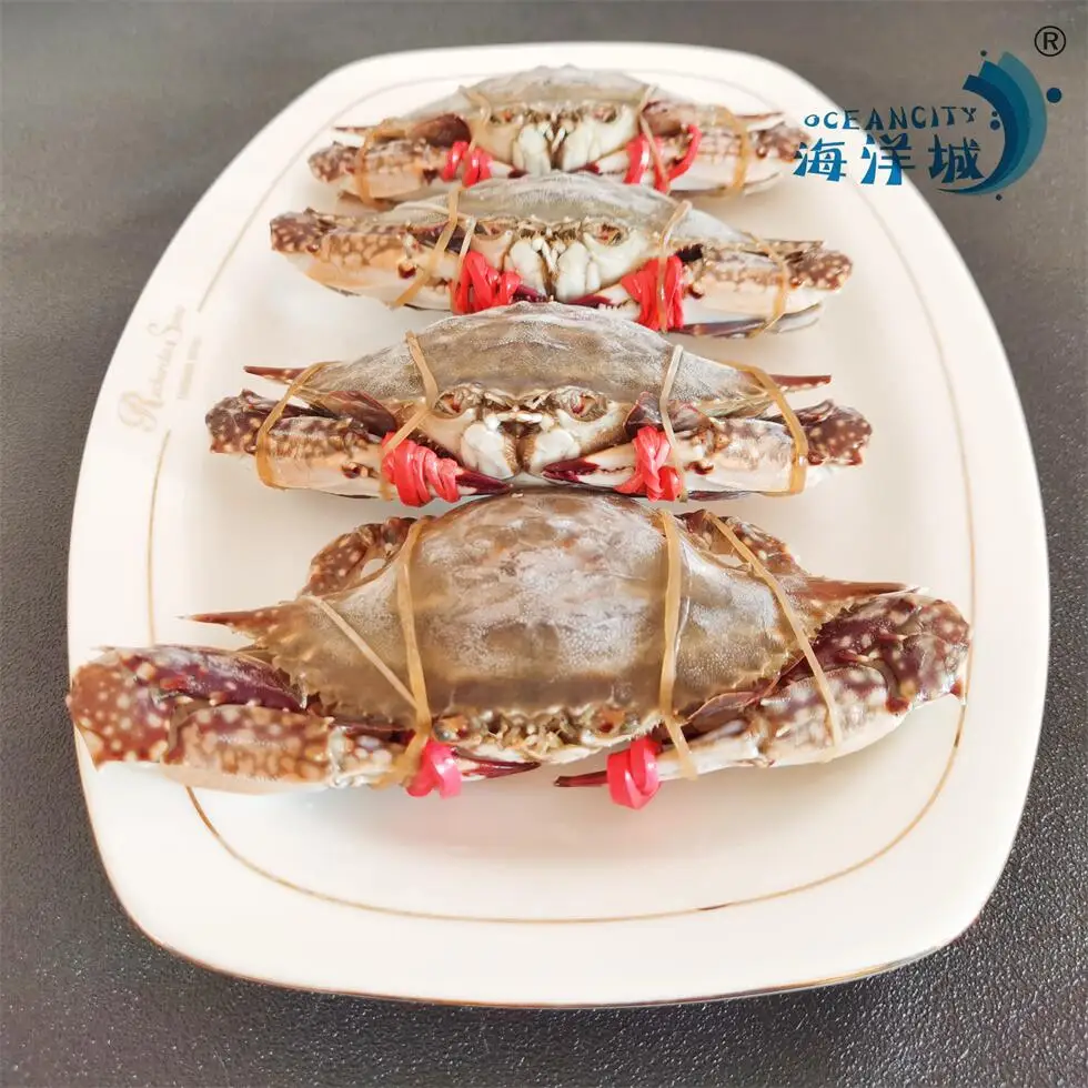 Quality Frozen Seafood Fresh  Frozen Swimming Crab