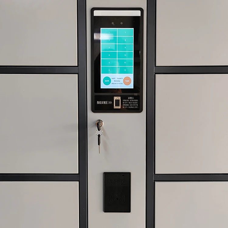 Smart PIN Face Recognition Locker Modern Metal Express Storage Cabinet for Supermarket Electronic Smart Locker