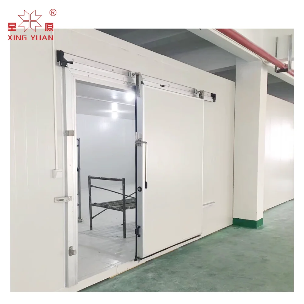 Best Seller Standard cold room  For Sale Panel Cold storage 15 Inverter Cool Room