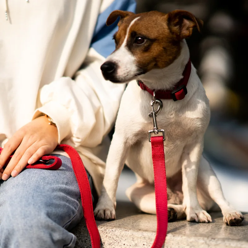 OEM ODM Dog Collar Custom Luxury Personalized Logo Adjustable Pet Collar