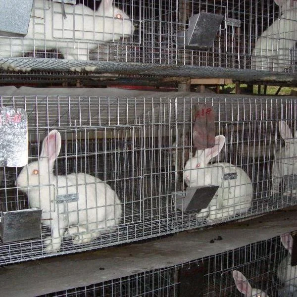 large rabbit cages pet hutches rabbit breeding cages pet cage for big rabbit sale