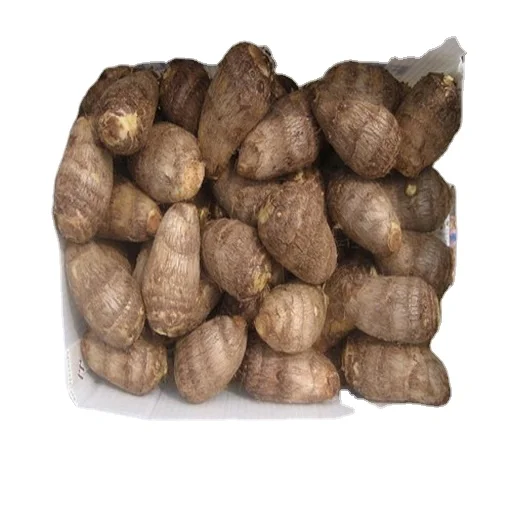 Bulk Quality  Fresh Taro Low Price High Quality