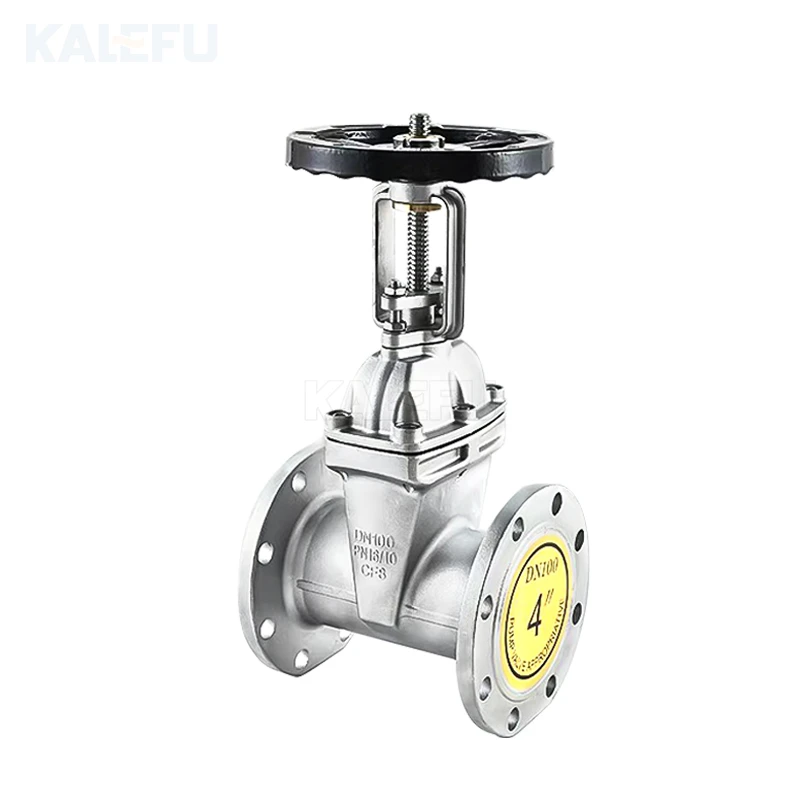 SS304 316 Gate Valves China Guangdong Factory Stainless Steel Pipe Fitting DN50-DN600 Manual Flanged Rising Stem Gate Valve