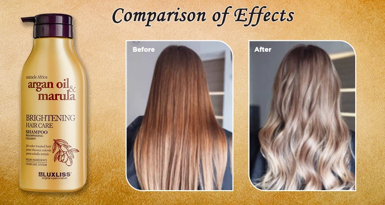 Newly design hair care treatment shampoo brightening hair care shampoo marual oil infused Private label