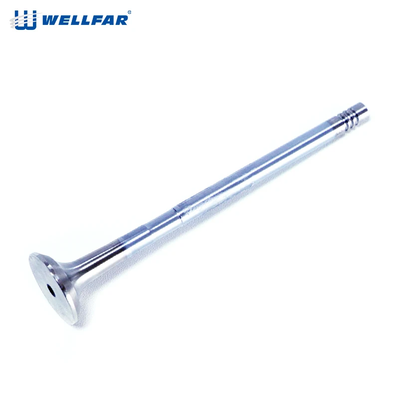 High Quality Exhaust valve  Engine Valve for Fiat