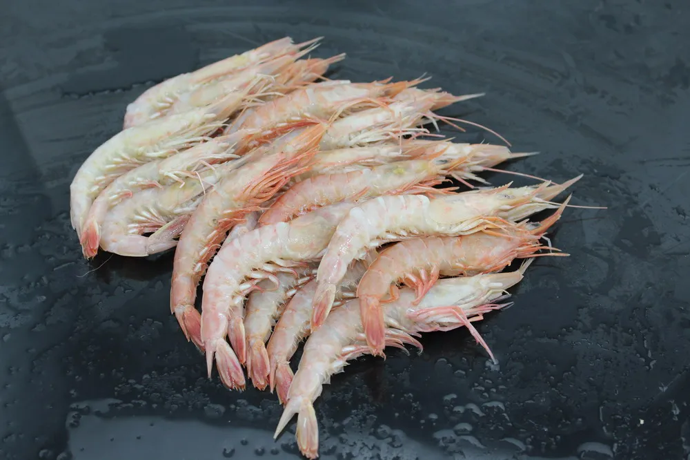 
Frozen pink shrimp prawn shrimp whole round 
