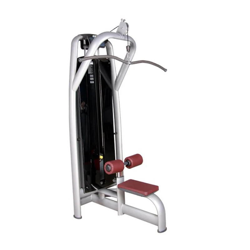 Home & Gym Use Lat Pulldown & Low Row