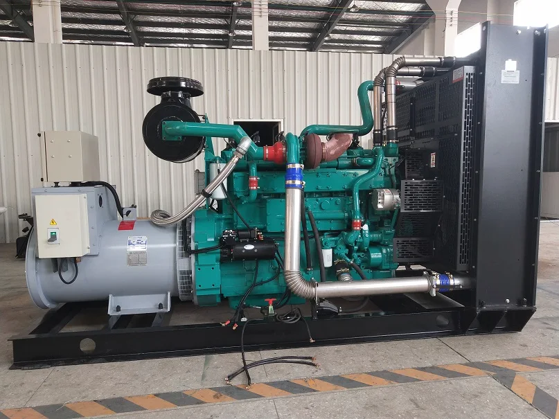 300КW Природный газ генератор