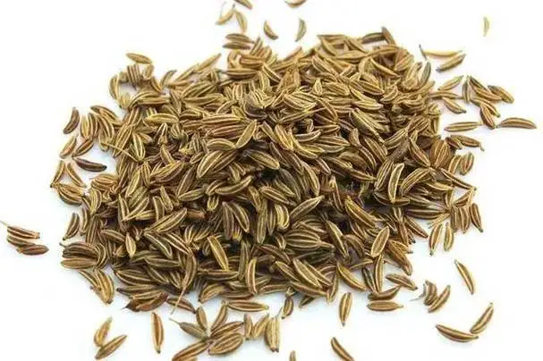 Selling 100% Pure Organic Cumin Chili Pepper Spice and Herbs from Wholesale Price for Export Sale