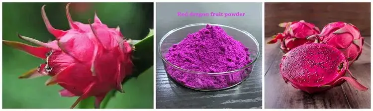 Youth Supply Pure Organic Freeze Dried Red Dragon Fruit Powder.jpg