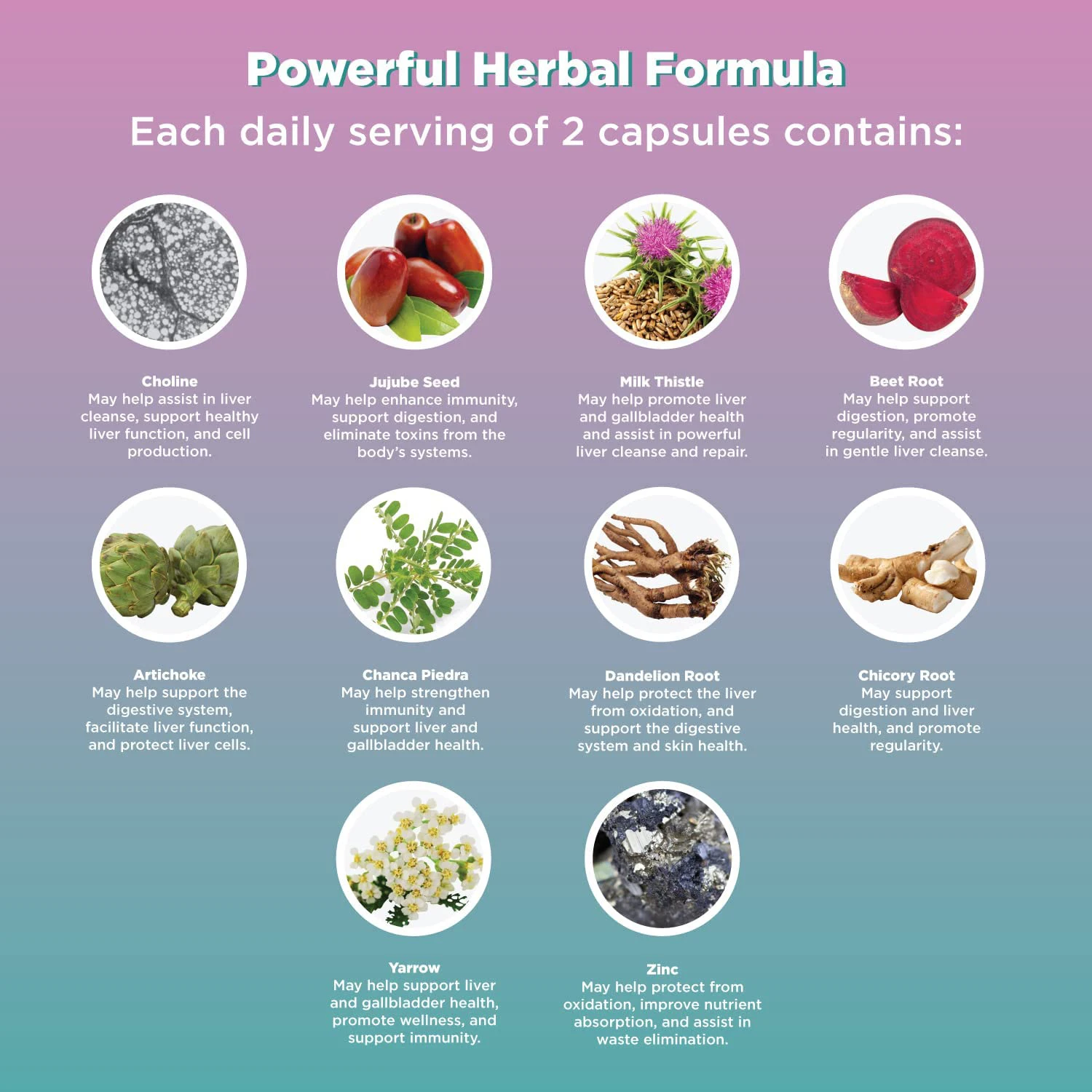 Private Label Liver Function Dandelion Root Artichoke Non-GMO Vegan Capsule For Improve Liver Health