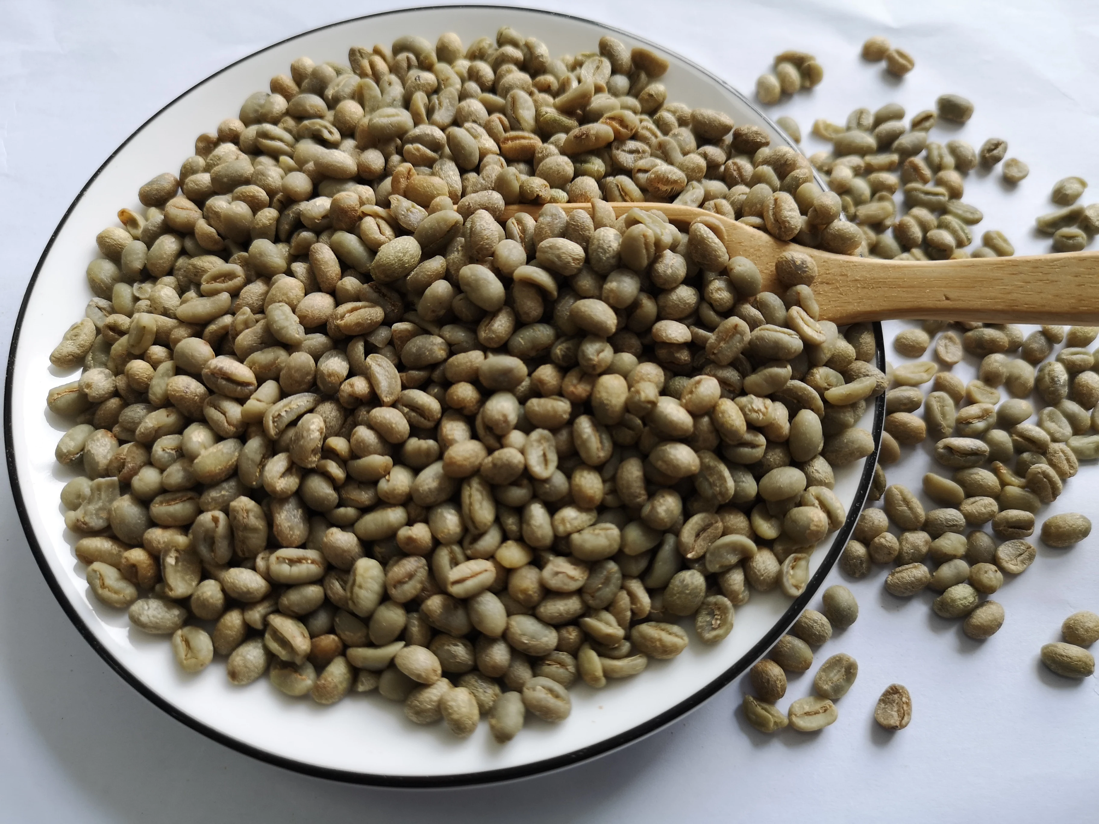 Chinese yunnan green coffee beans,screen 12-14,arabica coffee beans,