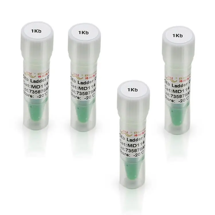 High Grade 1kb Ladder DNA marker (1000,2000,3000,4000,5000,6000,8000,10000bp)
