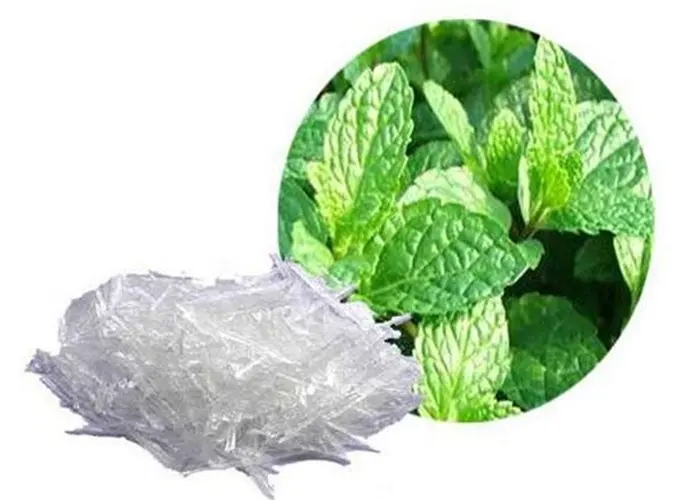 Factory Supply 99% Menthol Crystal CAS 89-78-1