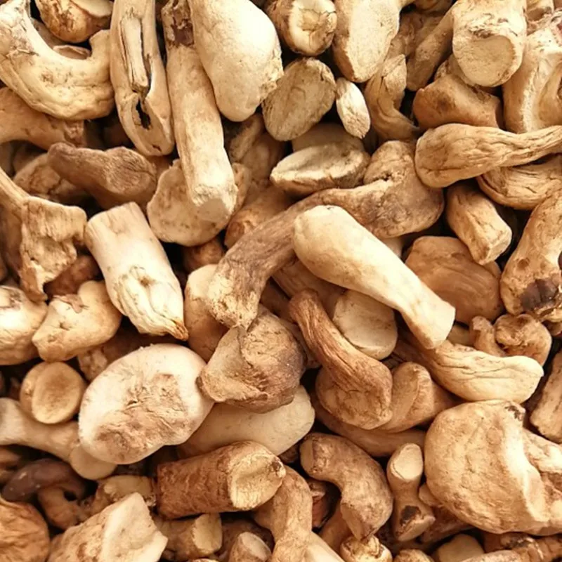 Shiitake roots Wholesale pure dried shiitake stems for sale