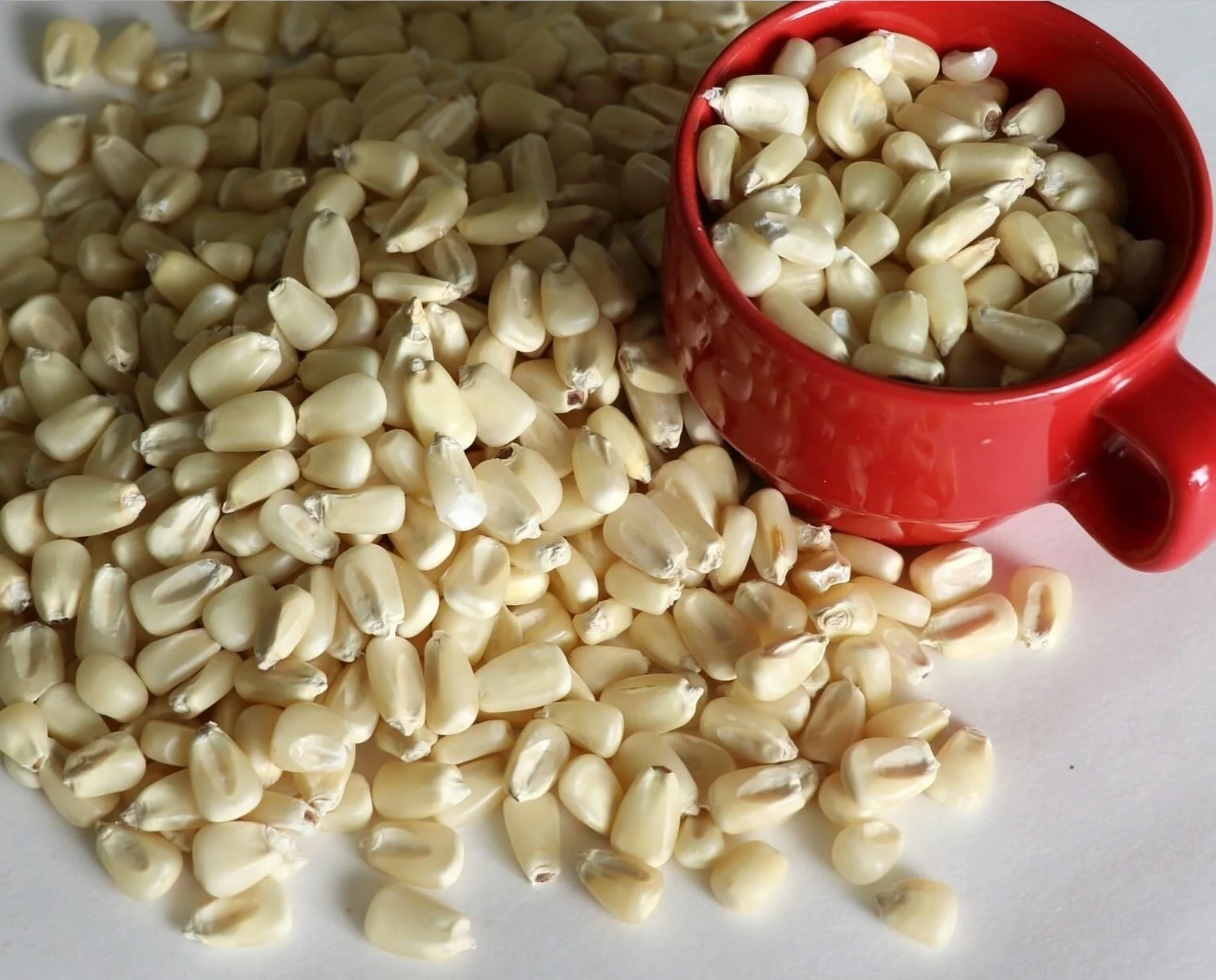 Кукуруза без ГМО для употребления человеком