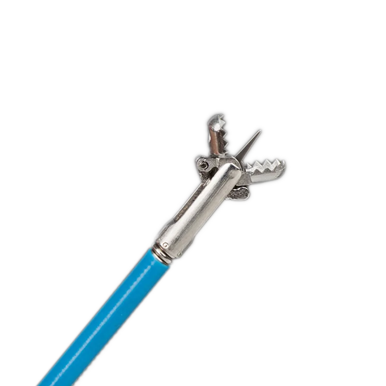 Disposable live sampling forceps for gastroscopy colonoscopy  biopsy forceps endoscope