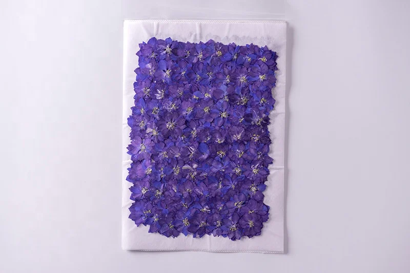 1000pcs/bag Larkspur Pressed Flower For Resin Epoxy Art Candle Making Wedding Frame