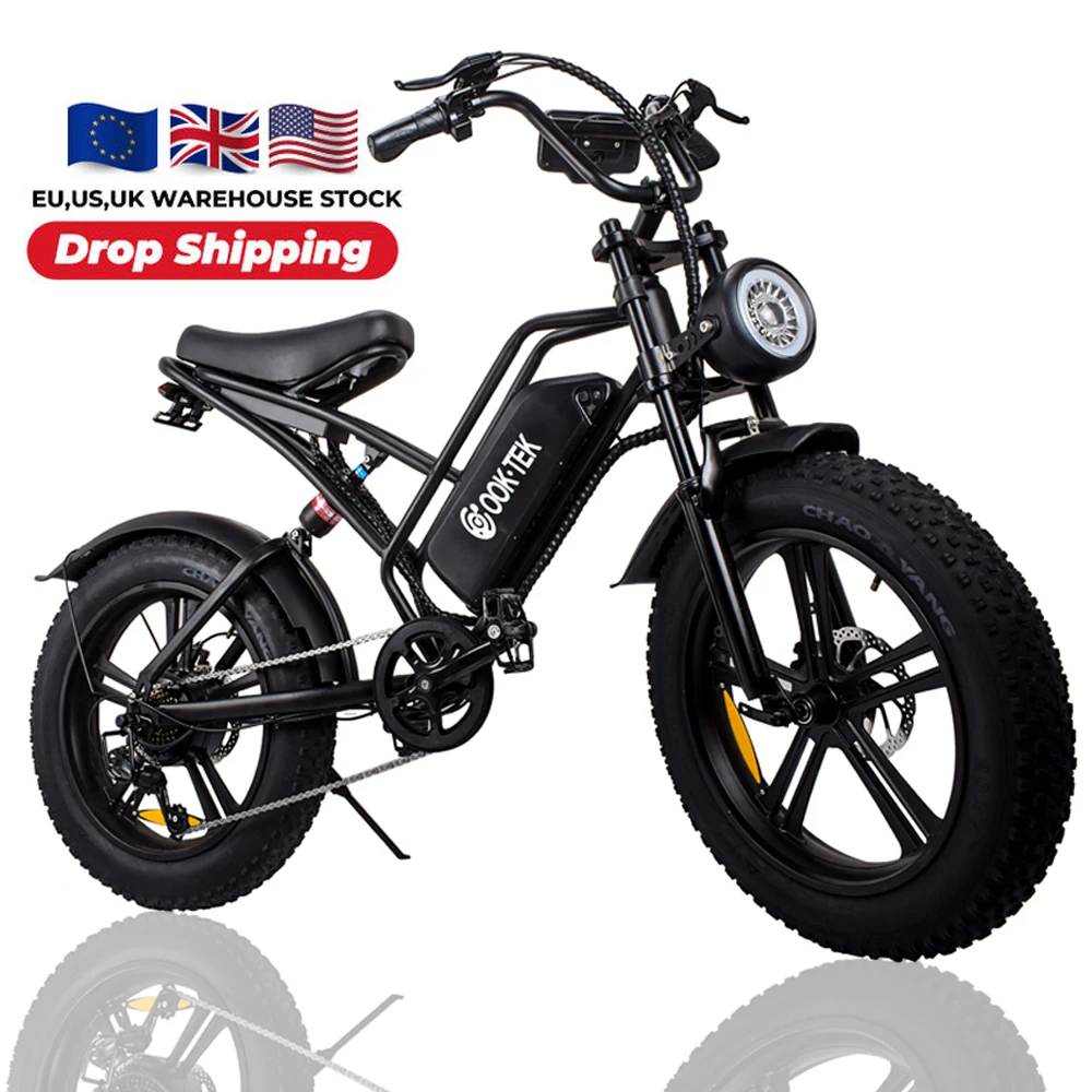48v 750w 1000w Retro E Bike Electric Bicycle Off Road Dirt 20inch Fat Tire ebike Foldable Electric Mountain Bike