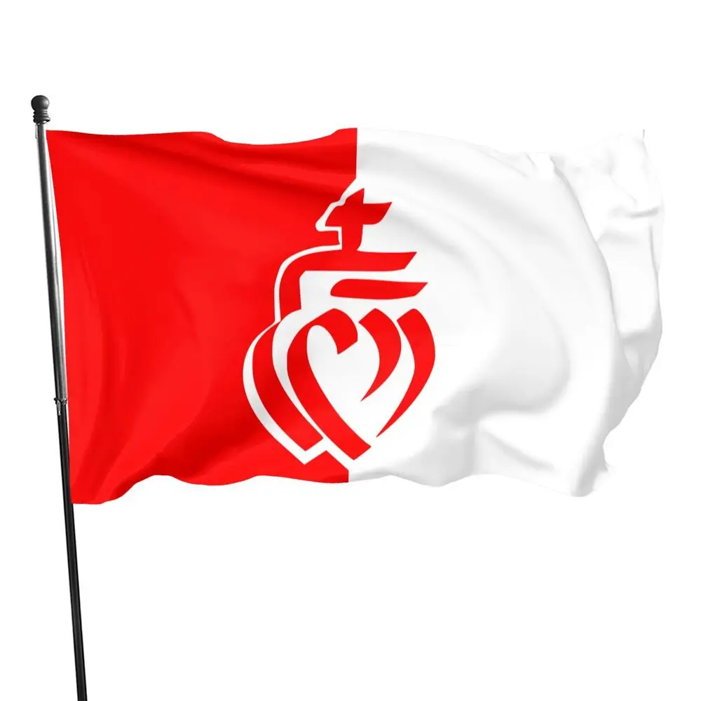 Advertising Custom Country Sports International Flags 3x5ft Printing Cheerleading World Outdoor All Countries Big National Flag