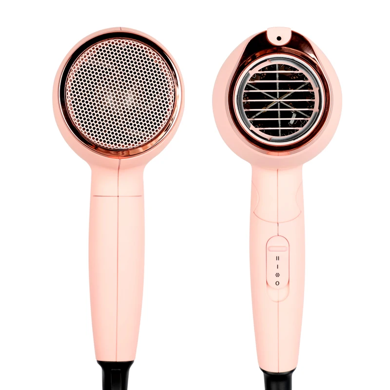Multifunction Heater Electrical Buy Salon Blow Styler Equipment Pink Hotel Mini Portable Bldc One Step Professional Hair Dryer