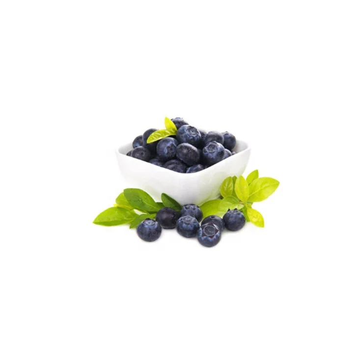 Bulk Pure Blueberry Concentrated Powder with Best Price 1KG Food Supplements