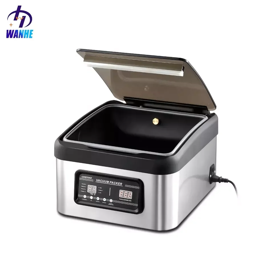 WANHE DZ-240 portable household commercial meat food vacuum sealer