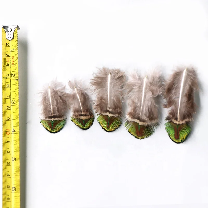 Feather Wholesale Small size 4-7cm Cheap peacock feathers for crafts DIY Decoration