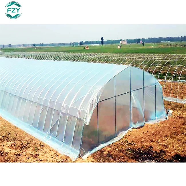 supply large winter garden vegetable growing Single Span  Film Green House Metal Frame Tunnel  agricultural greenhouse for plant